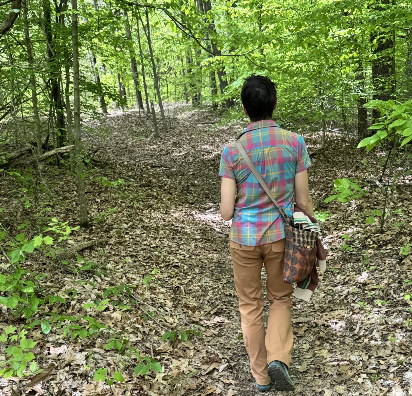 Sycamore Loop Trail